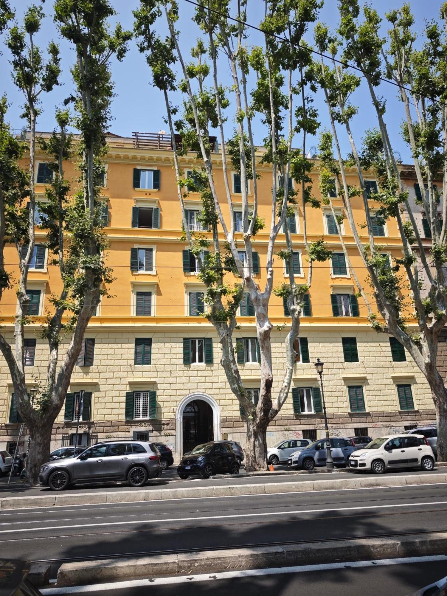 Vatican Comfort Rome